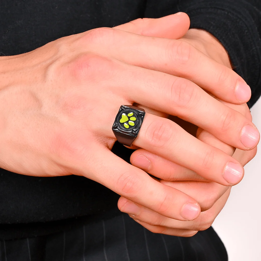 Miraculous Cat Noir Ring - Image 3