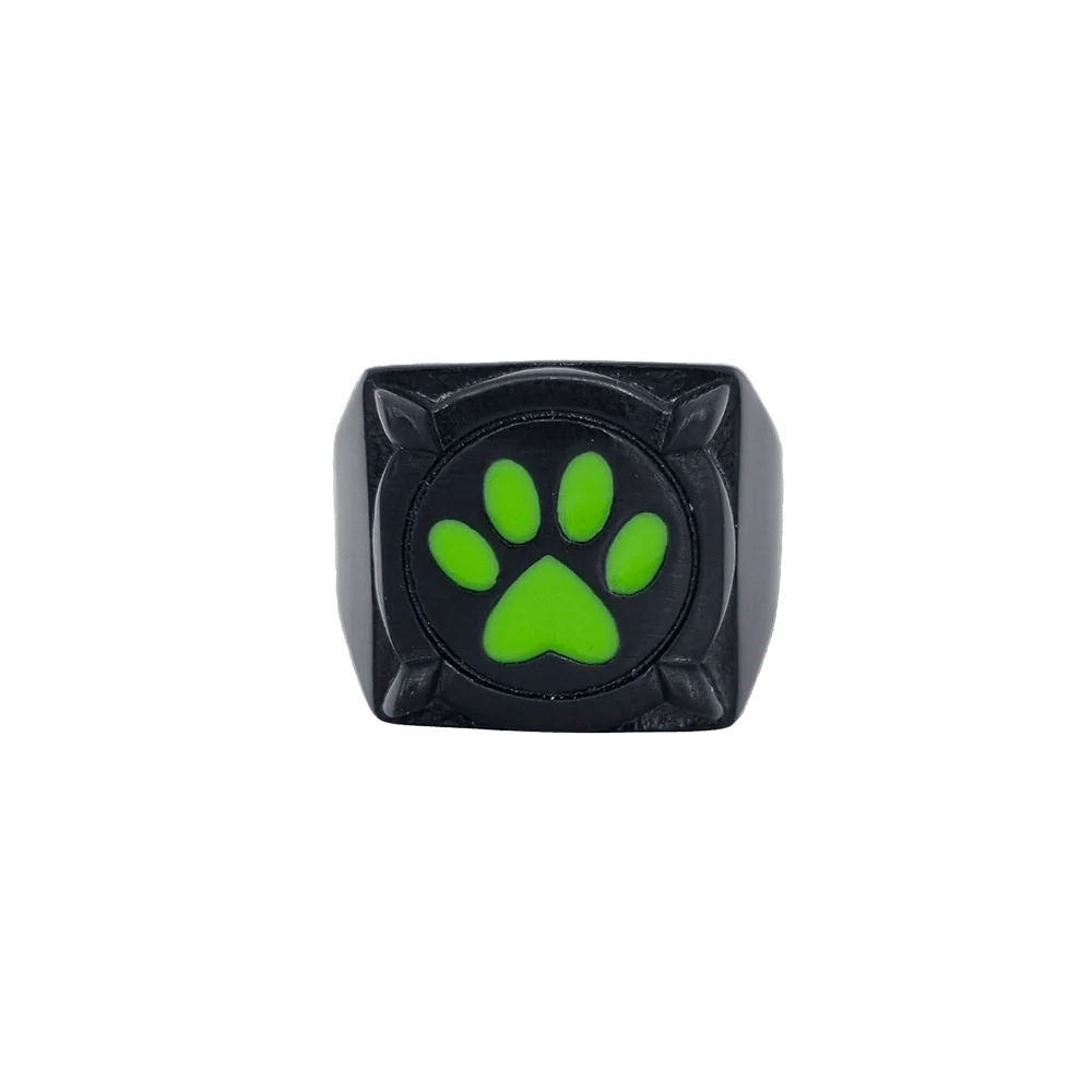 Miraculous Cat Noir Ring - Image 7