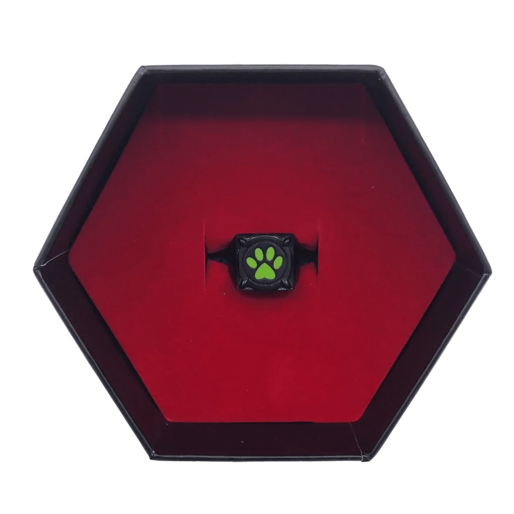 Miraculous Cat Noir Ring - Image 9