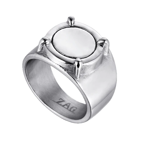 Miraculous Adrien's Ring - Image 5