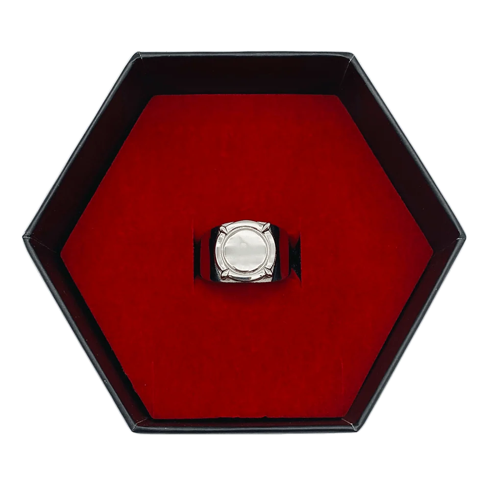 Miraculous Adrien's Ring - Image 6