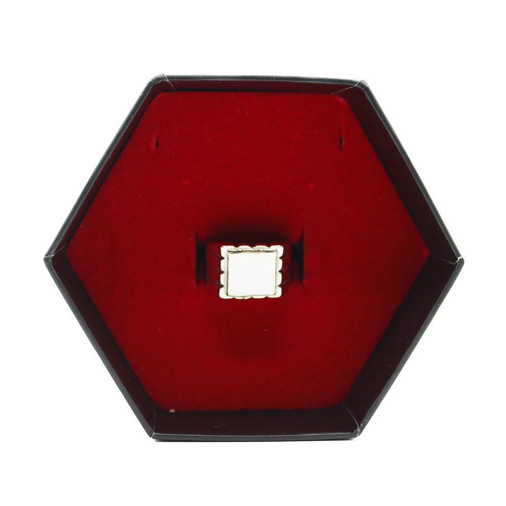 Miraculous Felix's Signet Ring - Image 5